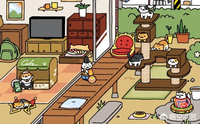 电子宠物猫app:宠物类APP主要有哪些功能？
