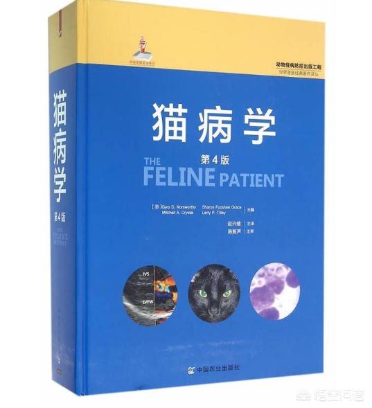 宠物医疗知识点:一名好的宠物医生需要掌握哪些知识？