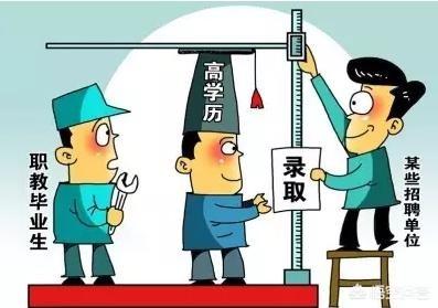 曼赤肯猫难养嘛:没有学历怎么找到一份好工作？
