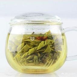 苦丁茶属于什么茶?喝苦丁茶有什么作用和功效