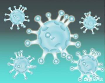 病毒的种类:病毒没有DNA是如何繁殖和生存的？
