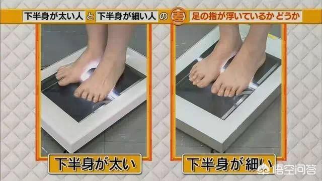 哪些方法可以瘦腿呢？插图17