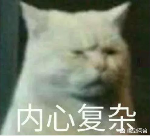 儿媳妇对儿子不好,该怎么办？