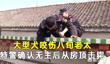 狗狗绊倒八旬老太:佛山老人被狗绊倒死亡，爱狗人士称女孩和狗主是无辜的，认同吗？