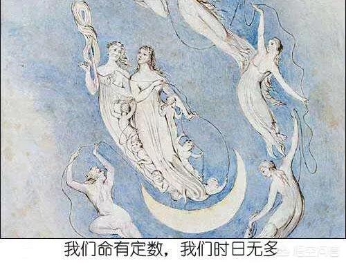 张铁泉是否己死亡:小偷去人家偷牛，被牛顶死了，养牛户负法律责任吗？