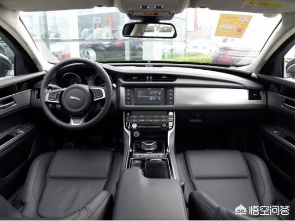 蓝眼皇冠豹越小越贵吗:蓝眼皇冠豹为什么越小越贵 捷豹xfl和丰田皇冠，该选哪个？