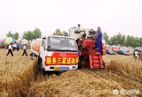 三夏是指什么?_？