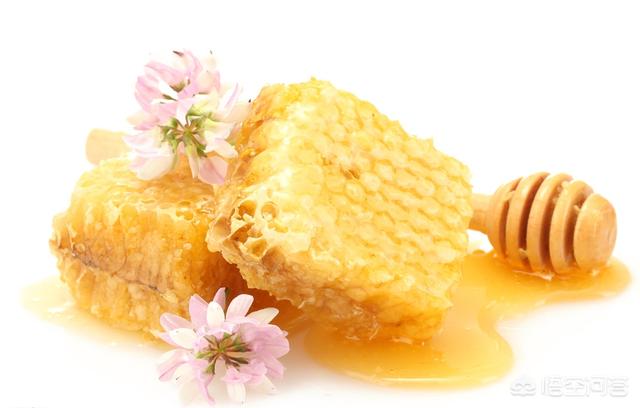 红酒加蜂蜜有什么功效，蜂蜜和葡萄放一起，埋在地下半年，会有什么作用