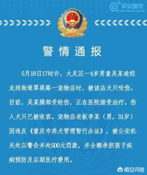 比特狗:比特狗区块链 重庆4岁男童被比特犬咬住腿，遇到恶犬时该如何处理？