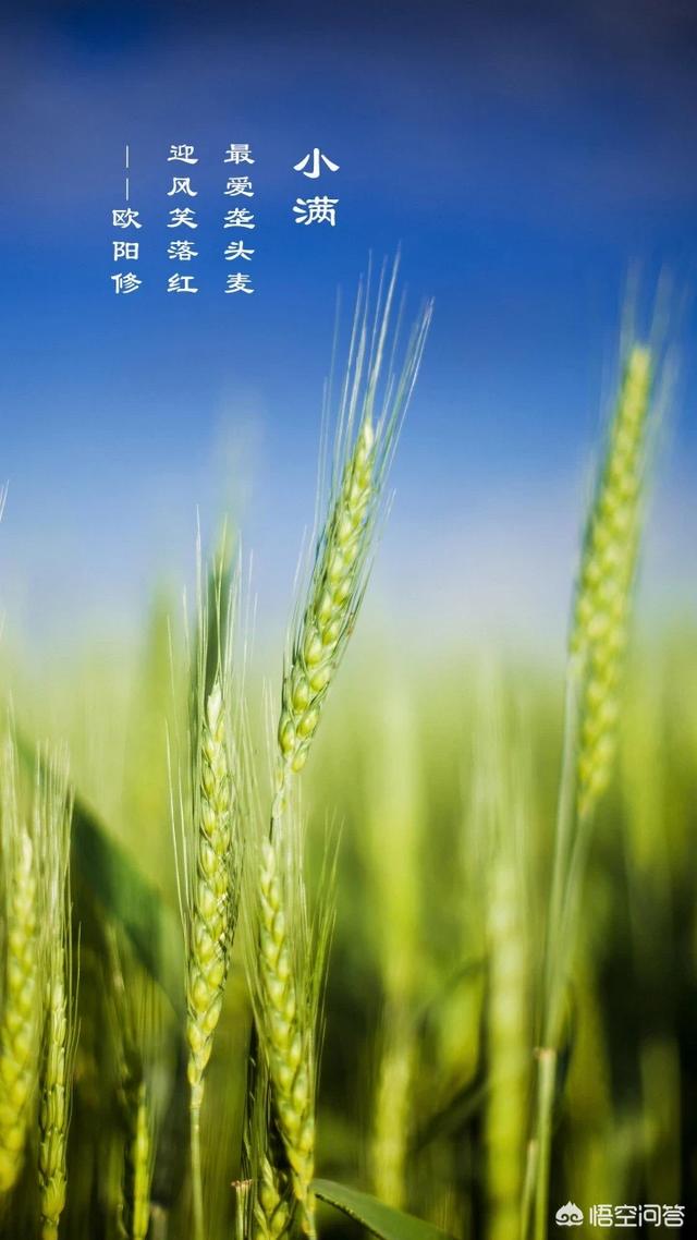五福临门五福,你知道多少？