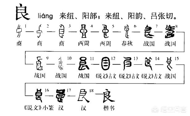 阳马小云与狗交配图:人类起源于相同的祖先，那么全世界的物种是否同源？