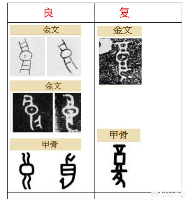 阳马小云与狗交配图:人类起源于相同的祖先，那么全世界的物种是否同源？