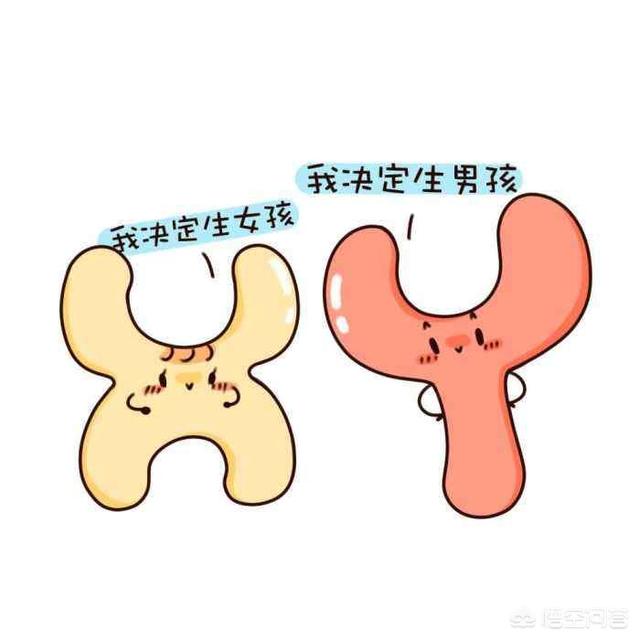 怎样生男孩(怎样生男孩的几率大)