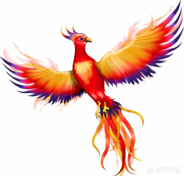 头条问答 - 俗话说"家里有了梧桐树,不愁招不来金凤凰",其中有什么