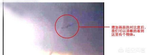 火烈鸟图片:摄影点评：这两张照片有哪些问题？怎么改？