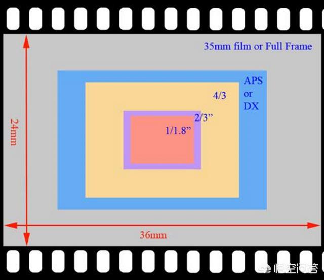 头条问答 - apsc画幅旗舰单反与全画幅入门单反,你怎么选?(18个回答)