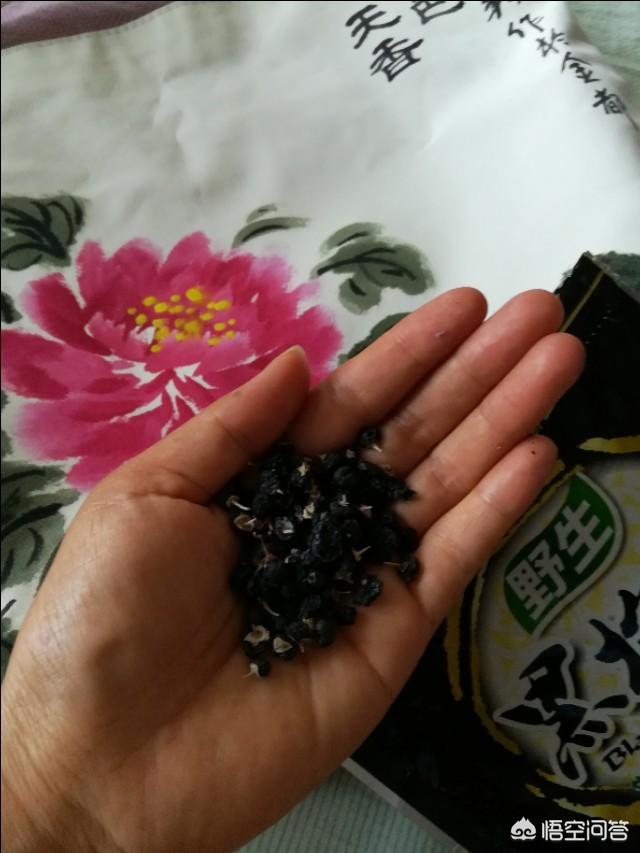黑枸杞吃着有点苦涩正常吗，怎样区分野生黑枸杞和种植的黑枸杞？