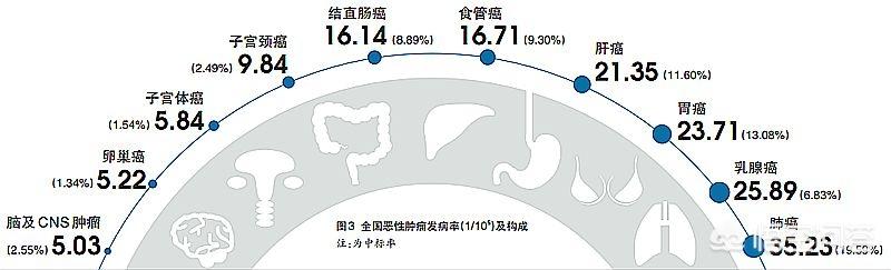 为什么肿瘤越来越多？