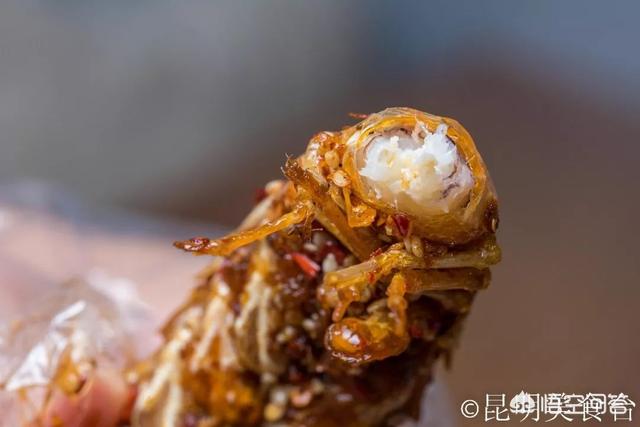 宗庸卓玛:昆明环城南路附近有哪些好吃的美食