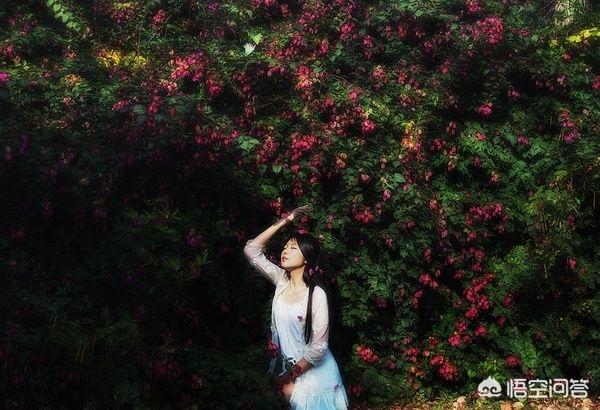 摄影师陈曼:陈漫明明有审美，为什么会拍出这样的宣传片