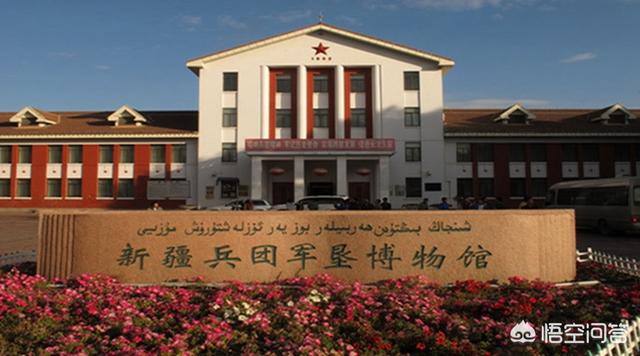 新疆现长耳跳鼠:有哪些动物快要灭绝了，为什么？