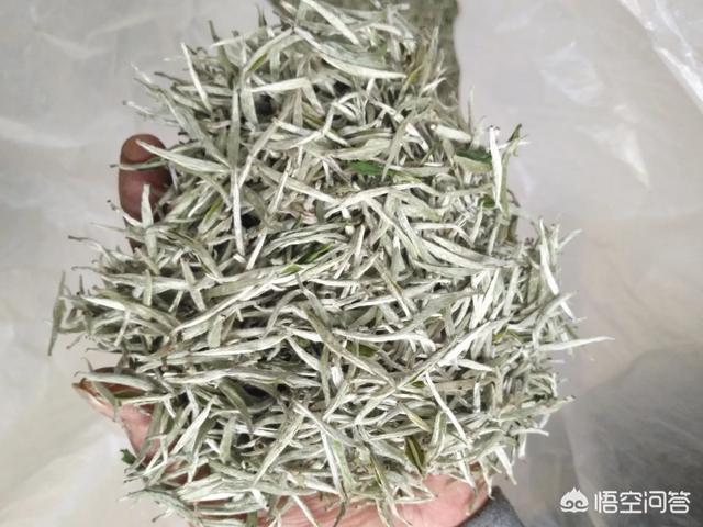 喝白茶都有什么好处,白茶的药用价值大吗？有什么作用？