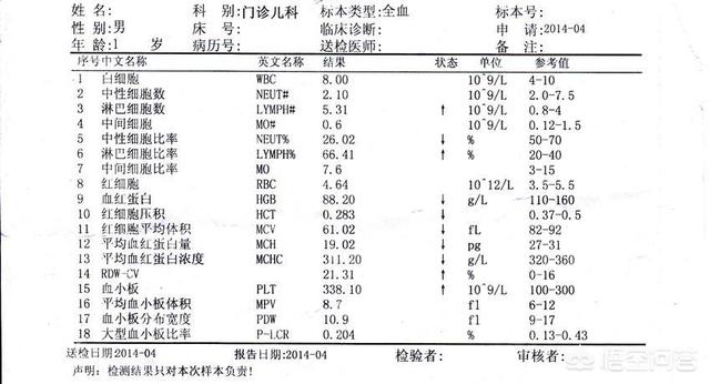 淋巴细胞百分比偏高:淋巴细胞百分比偏高60 淋巴细胞百分比偏高是什么原因？