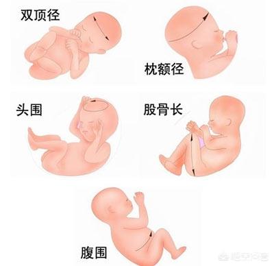 38周胎儿发育情况是啥样的，孕37周的胎儿发育情况是怎样的可以出生了吗