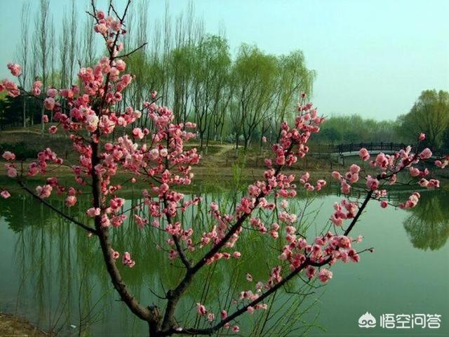 适合加名字的网名:我想起个网名，叫什么好？