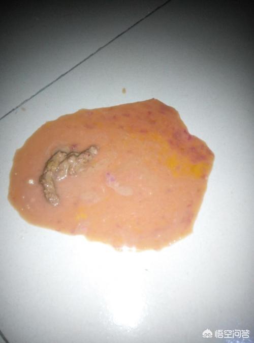 狗狗生细小是什么病患者:小狗狗得了犬细微病毒怎么治，怎样治最快？