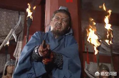 刘禅的儿子:蜀汉灭亡的最后时刻，为何是刘禅的儿子站出来殉国而不是刘禅呢？