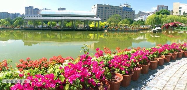 攀枝花学院怎么样(攀枝花学院专升本官网)