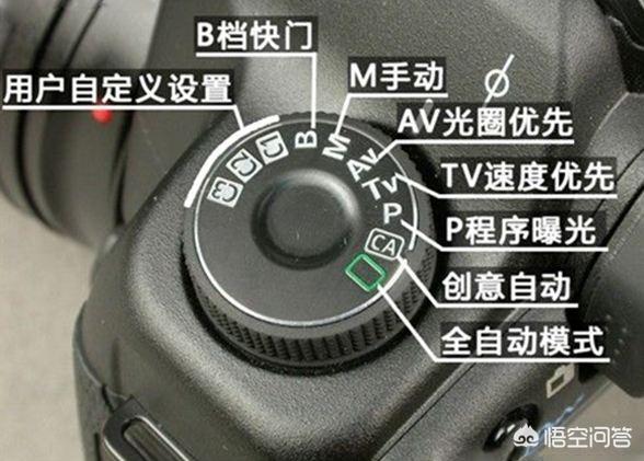 蓝脚鲣鸟 笨鸟:单反手动M档的优势是什么？