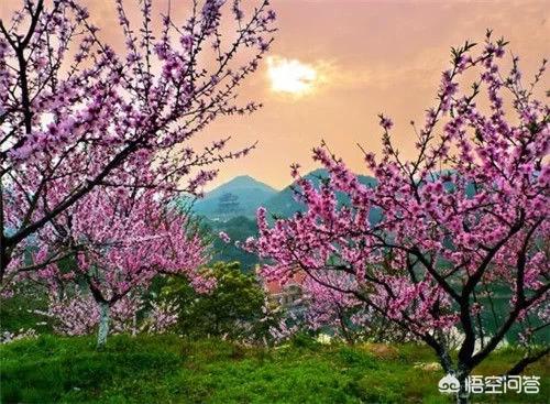 桃花源记恐怖真相:如果桃花源记真的跟阴间有关，那作者意在表达什么？
