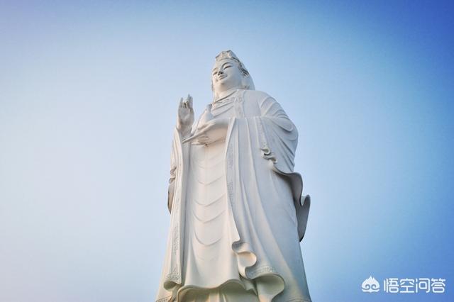 xishiroux:能从宠物上看出主人的性格吗？