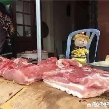 如何评价脱口秀《泄密食堂》？