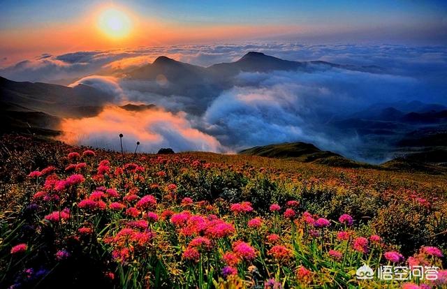 铜仁和毕节比,哪个发展要好一些？