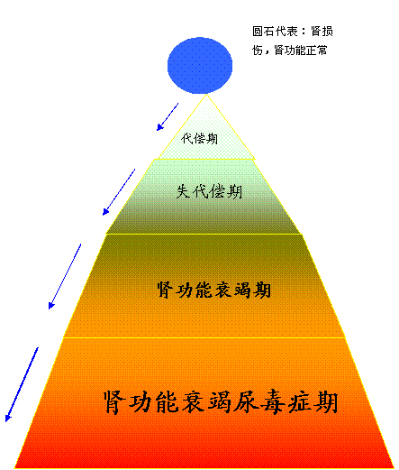 尿毒症病因,尿毒症的高发病因有哪些？