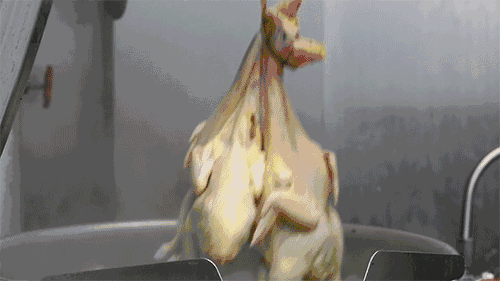 白切鸡怎么做最好吃，正宗粤式白切鸡应该怎么做