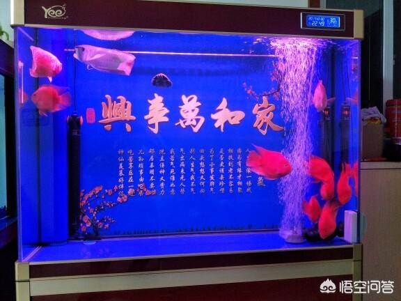 水族器材是什么:能给我介绍一下所有的摄影器材的名称，用途，效果，用途吗？