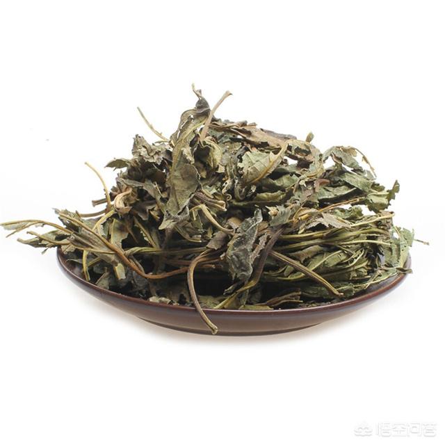野桑叶可以泡茶喝吗?-图4