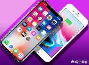 iPhone 8与iPhone 8p、iPhoneX相比,哪个性价比高？