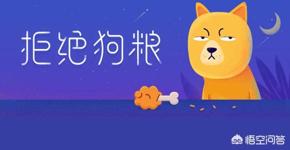 八个月的金毛犬怎么养:金毛7个月要怎么养更好？