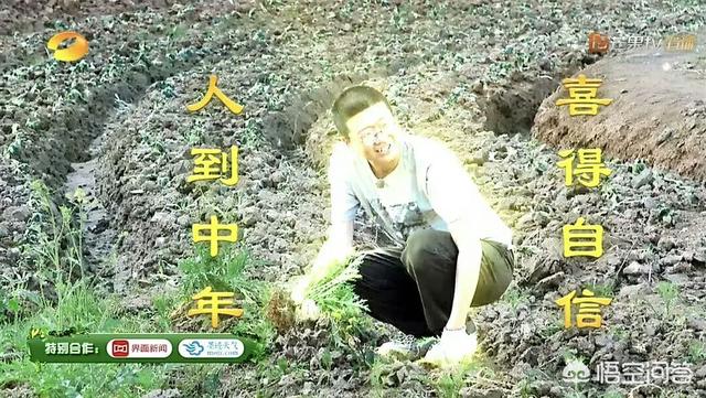 李诞是谁:你如何看待李诞这样一个“懒人”