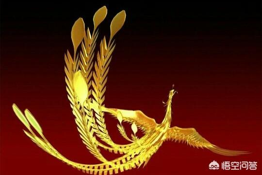 头条问答 - 俗话说"家里有了梧桐树,不愁招不来金凤凰",其中有什么