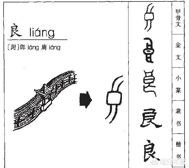 阳马小云与狗交配图:人类起源于相同的祖先，那么全世界的物种是否同源？