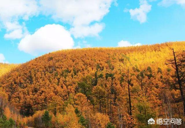 你去过哪些非常小众却又特别美的景点？插图85