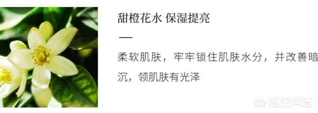 花印怎么样(花印洗面奶怎么样)