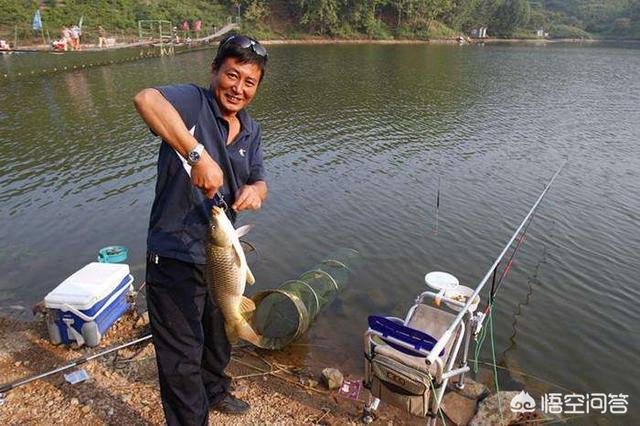 鮣鱼吃什么食耳:钓鲫鱼用拉饵还是搓饵好？