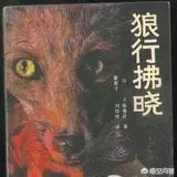 有什么好看的抗日战争电视剧推荐？插图46